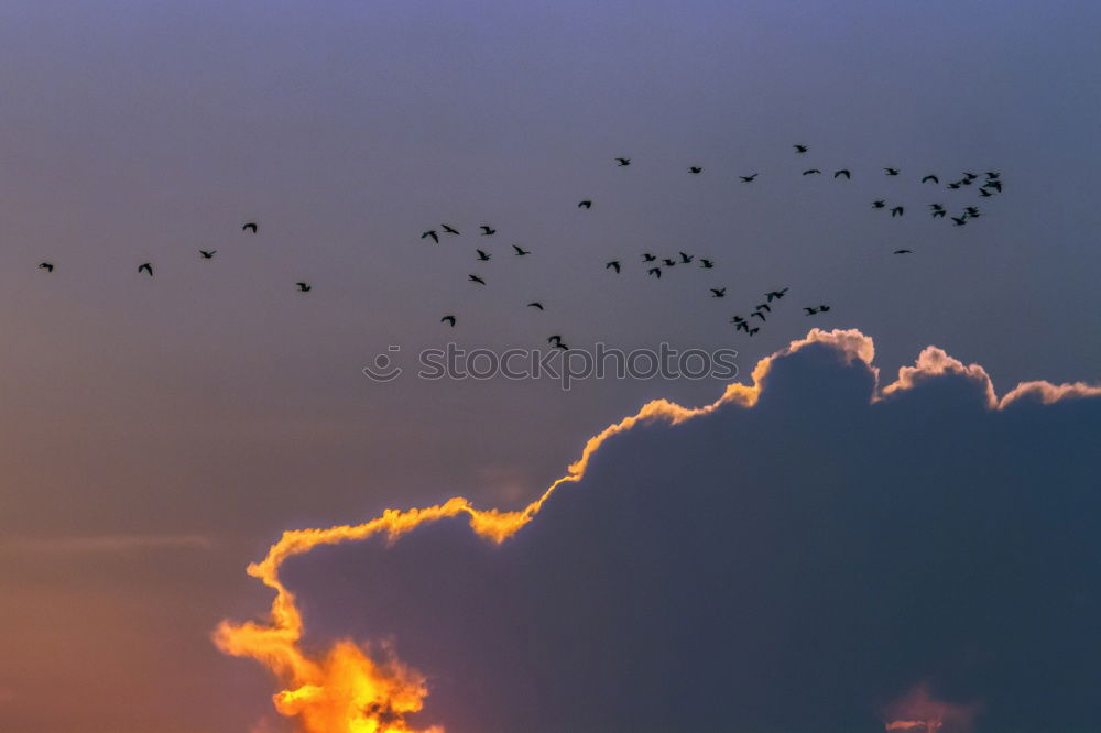 Similar – Sky colors, black clouds with gold yellow sun shimmering over the city