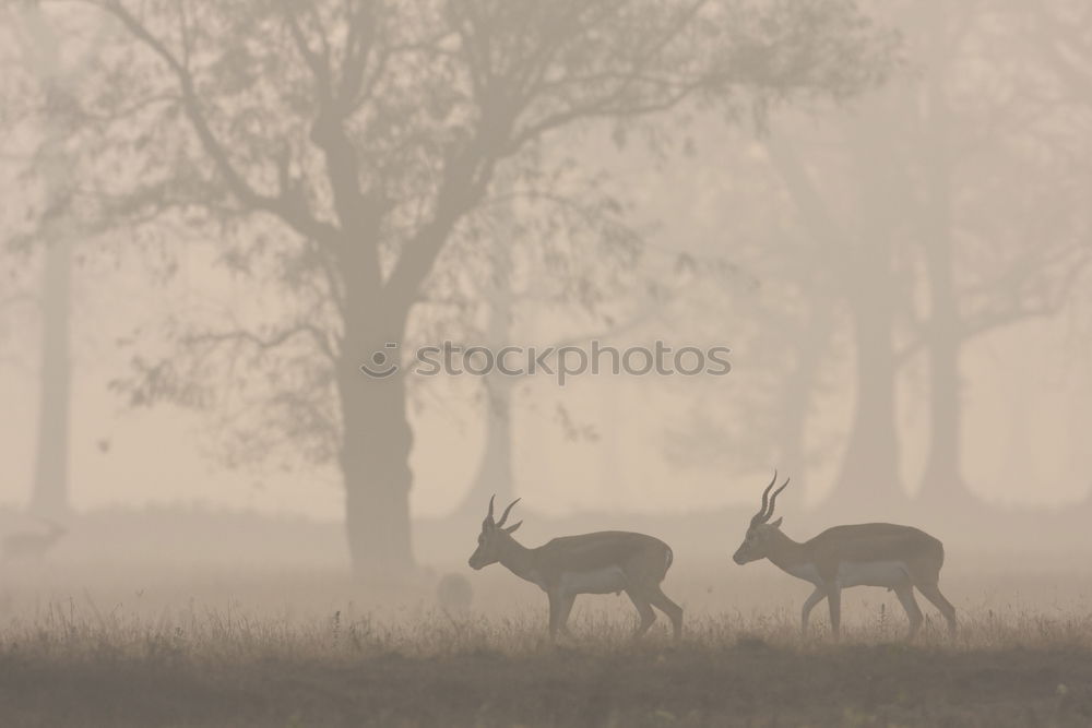 Similar – Foto Bild 800