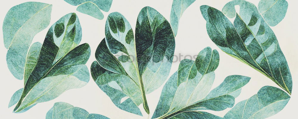 Similar – Image, Stock Photo Layout with various tropical palms and fern leaves