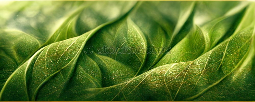 Similar – Fern Pteridopsida Green