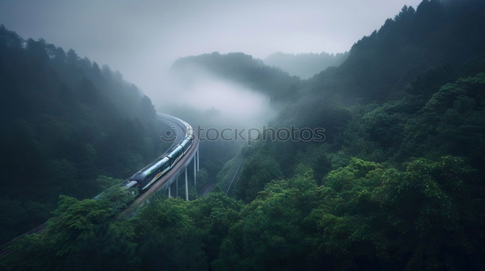 bridge Vacation & Travel