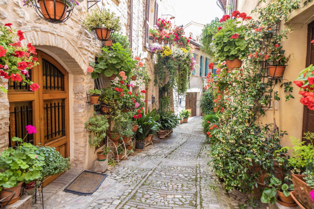 Similar – Image, Stock Photo Detail view of Taormina, Sicily, Italy