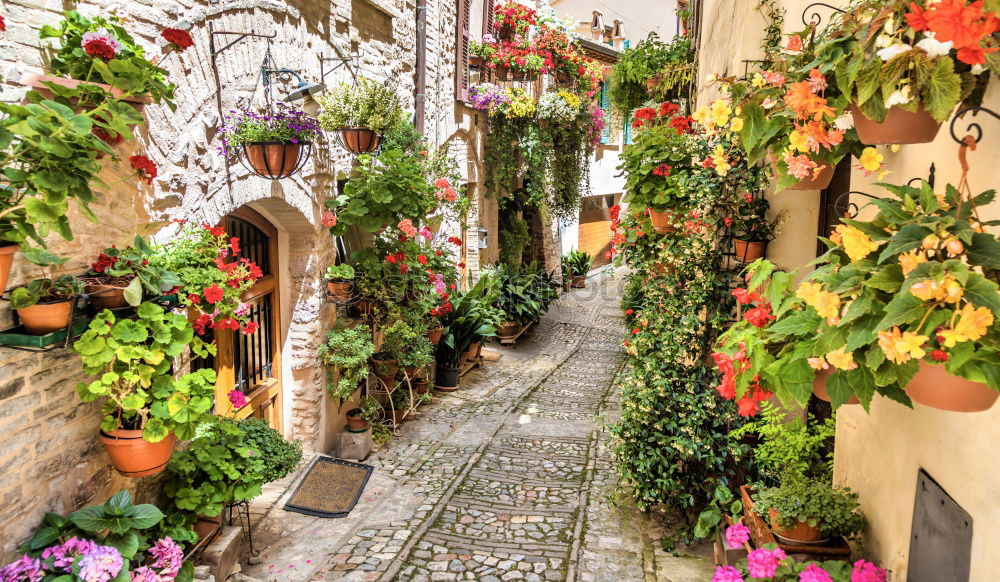 Similar – Image, Stock Photo Detail view of Taormina, Sicily, Italy