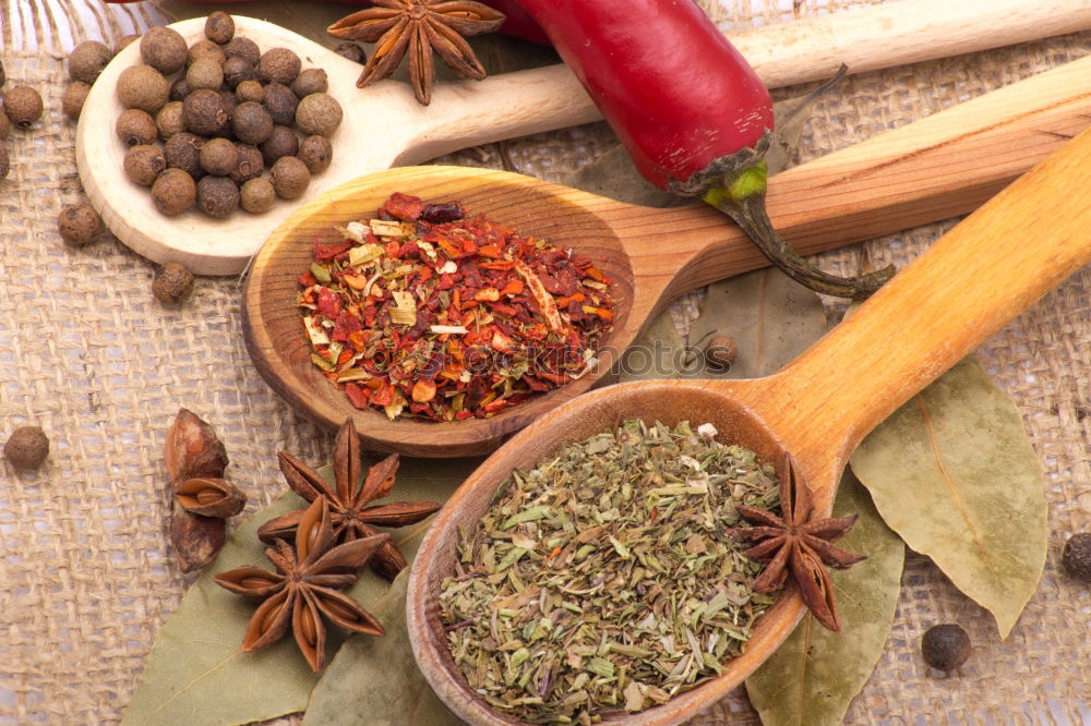 Similar – Image, Stock Photo medicinal herbs and plants