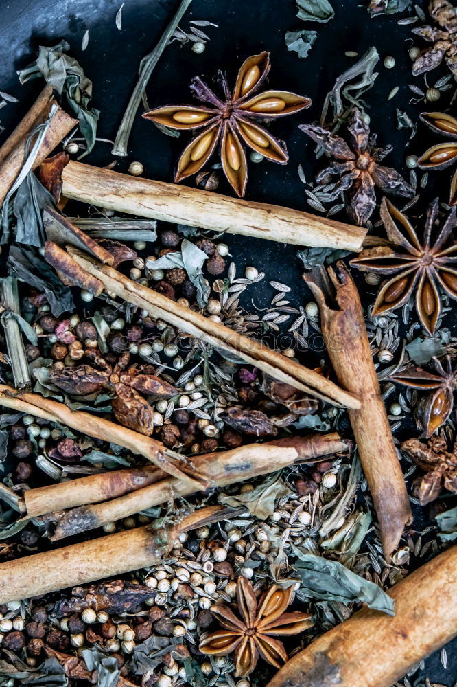 Similar – Image, Stock Photo Autumn on the street Leaf