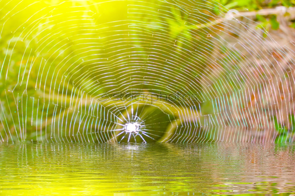 Image, Stock Photo 151455 Environment Nature