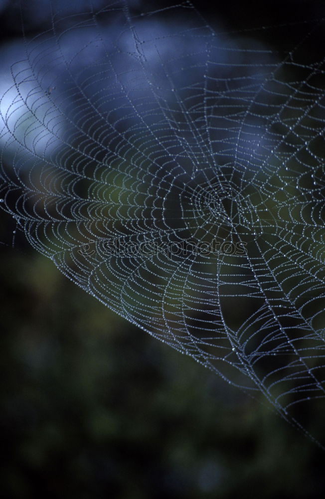 Similar – Image, Stock Photo Cracks2 Concrete Gray