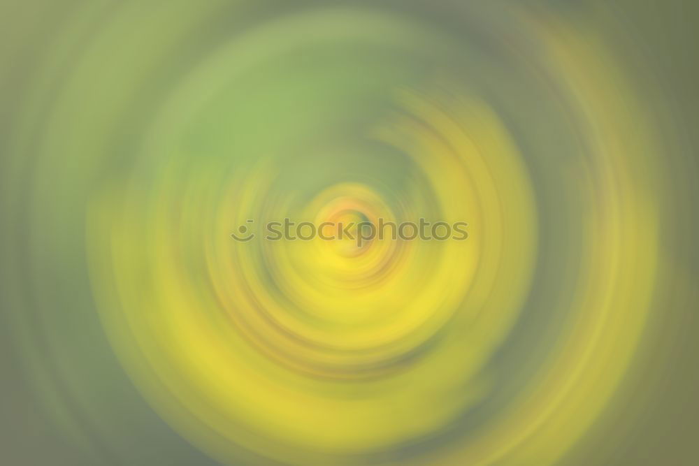 Similar – Image, Stock Photo Flower tulip closed Sun