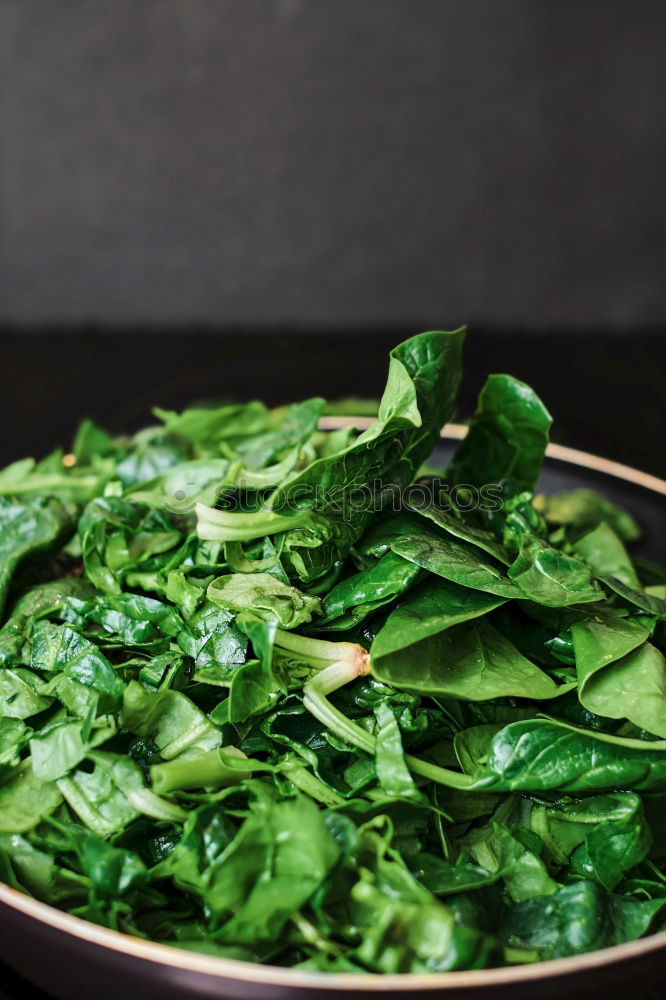 Similar – Spinach in cream sauce in casserole dish with spoon