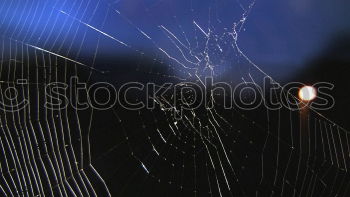 Similar – Image, Stock Photo How the spider sees the world