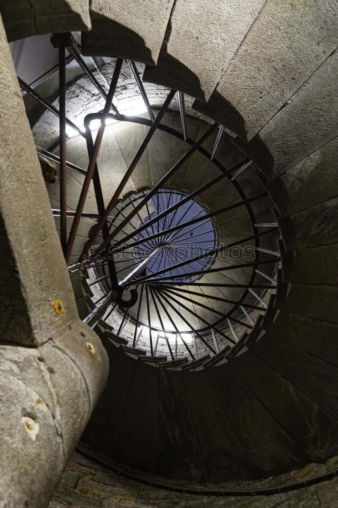 Image, Stock Photo Genoa_Streets Town