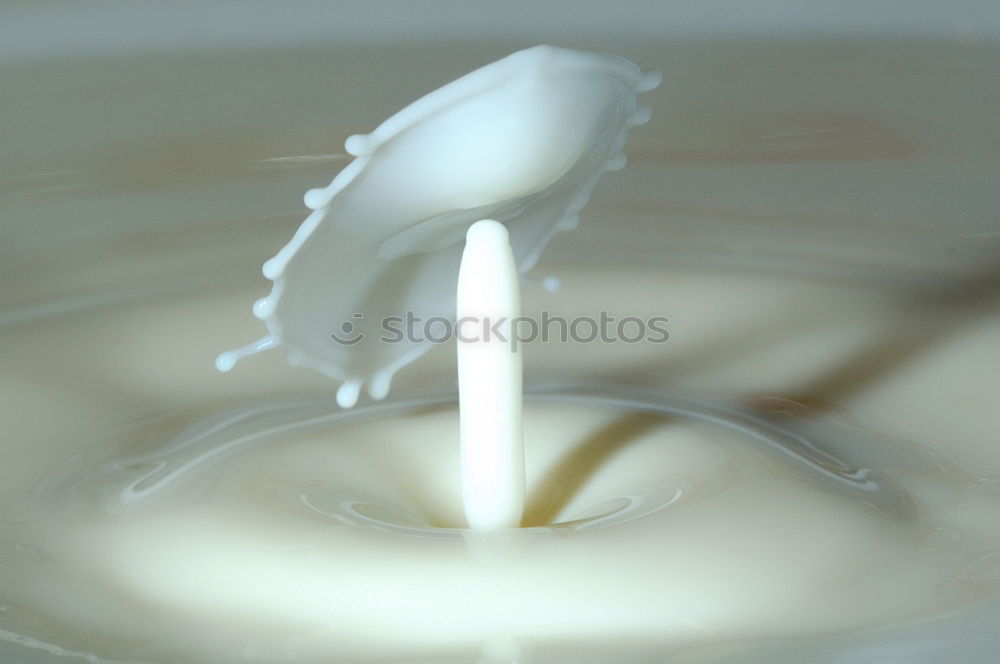 Similar – Image, Stock Photo Milk and wood Wood