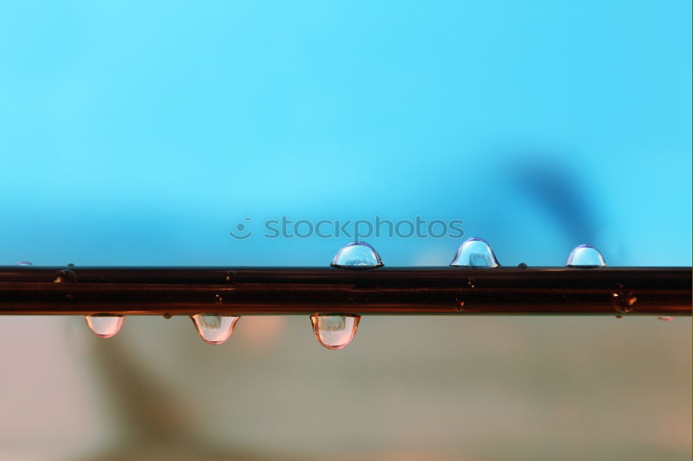 Similar – freezing Fence Tree