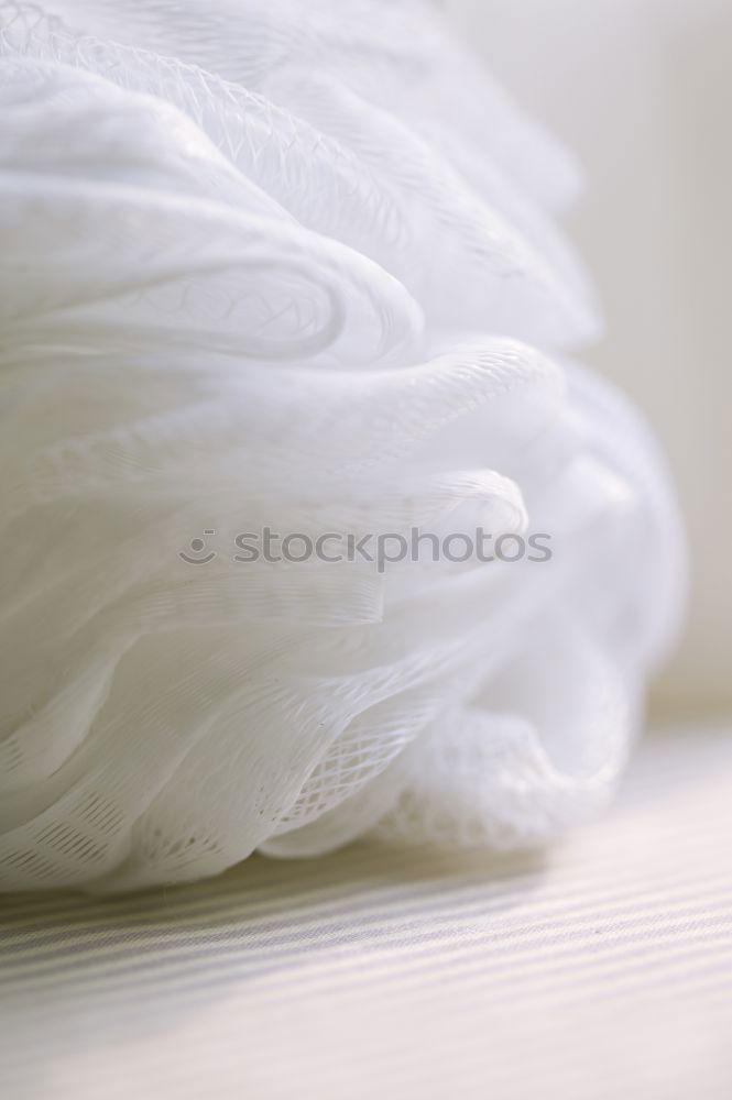 Image, Stock Photo what was I trying to remember?