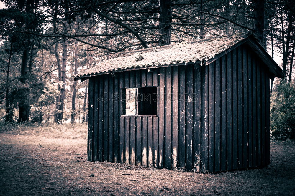 Similar – Image, Stock Photo quiet place Environment