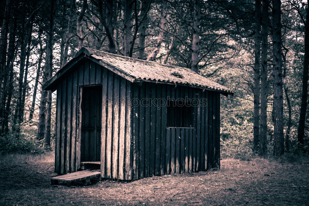 Similar – Image, Stock Photo groundskeeper hibernation 5