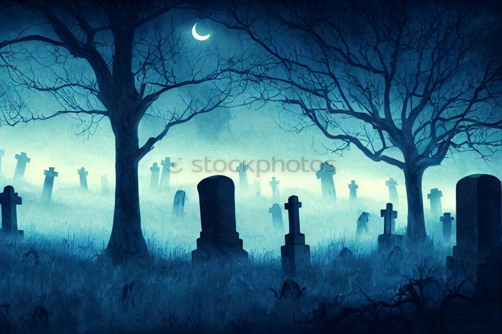 Similar – Image, Stock Photo last rest