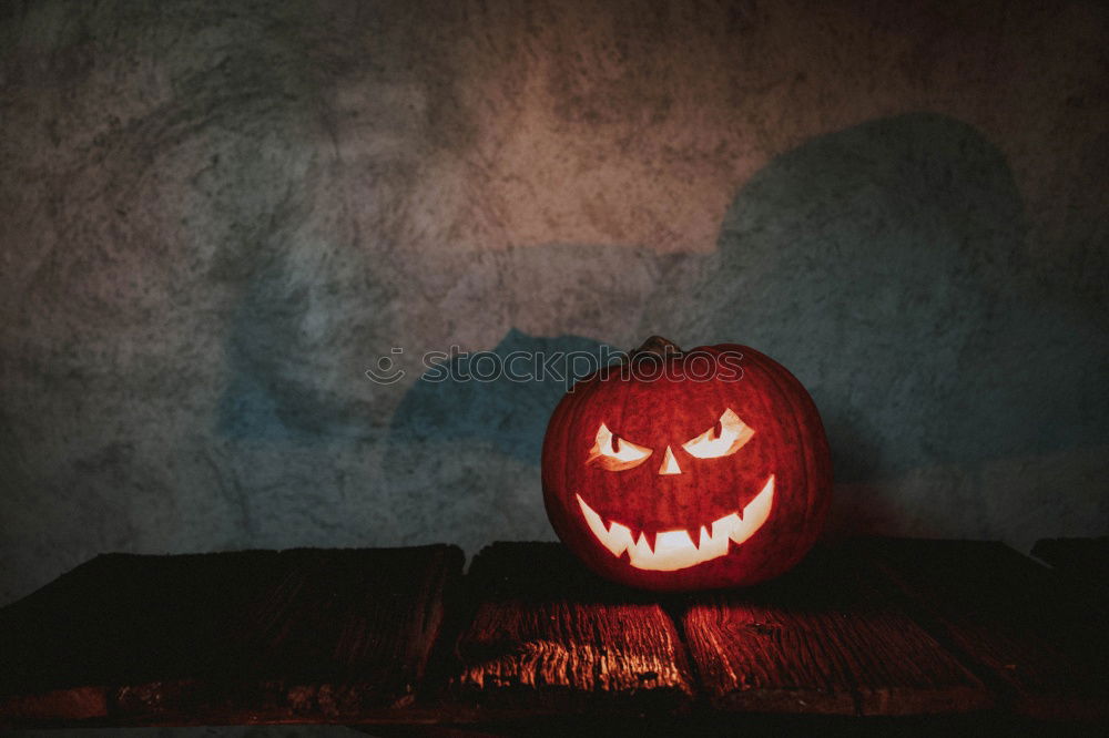 Similar – Image, Stock Photo Happy Halloween Hallowe’en