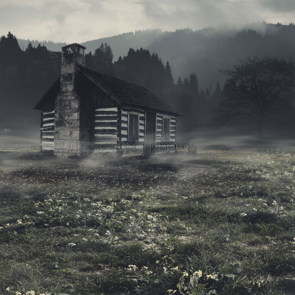 Similar – Small abandoned house in spooky woods