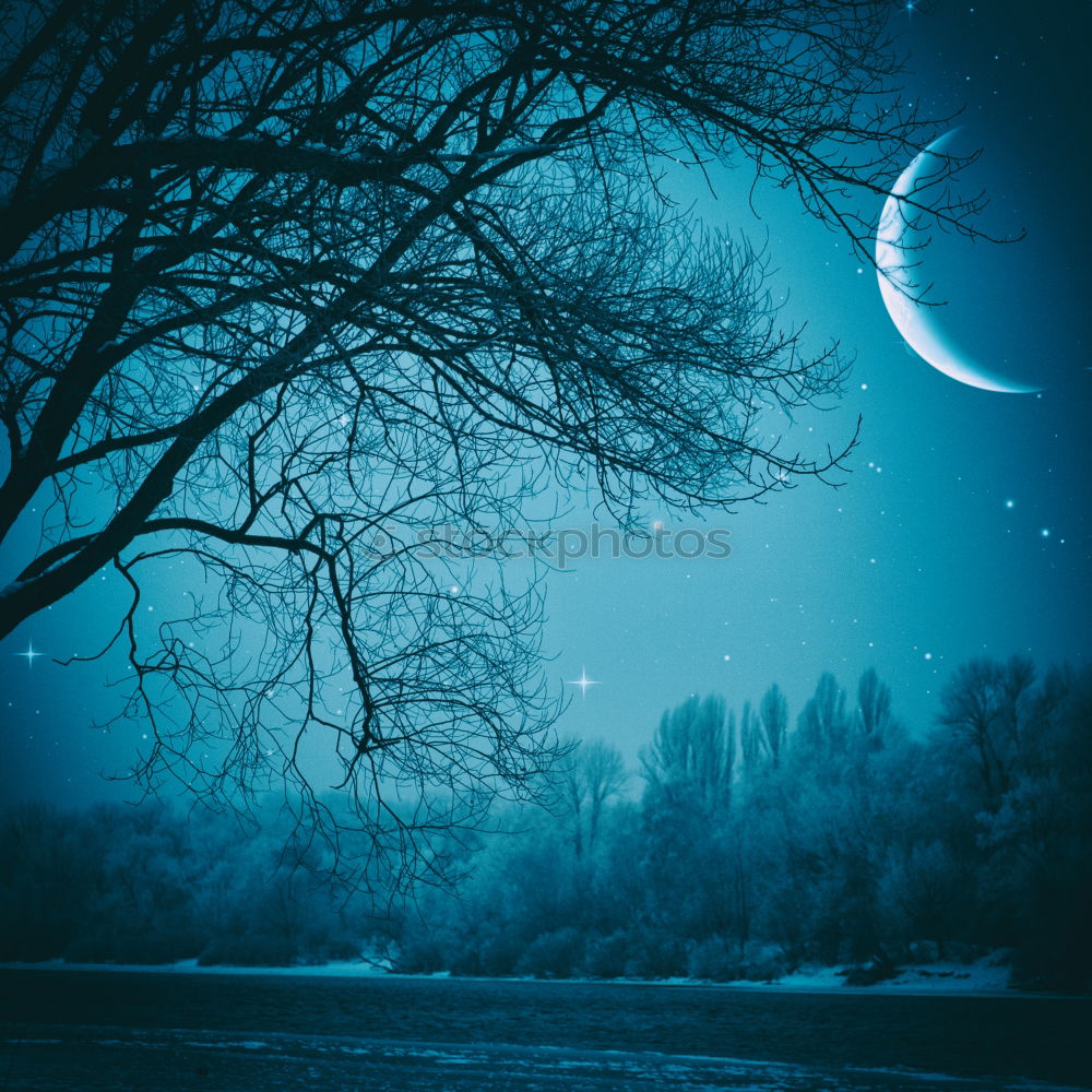 Similar – Image, Stock Photo winter twilight Winter