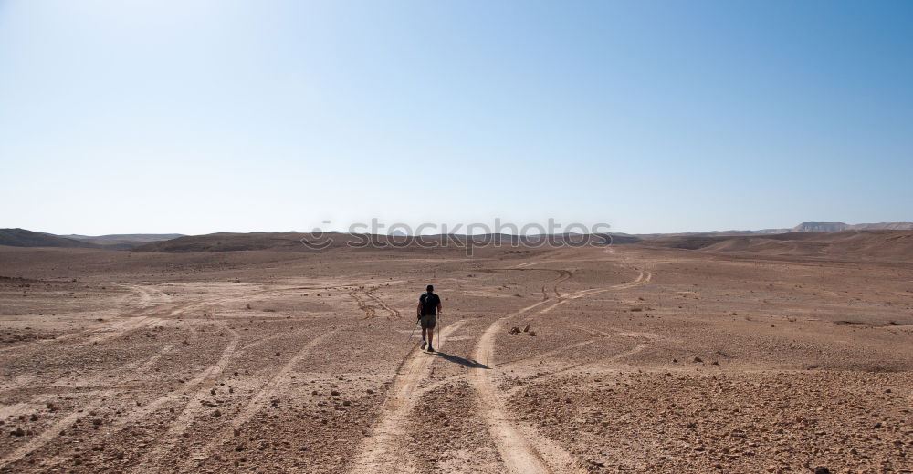 Similar – Desert (6/10) Sand Dune