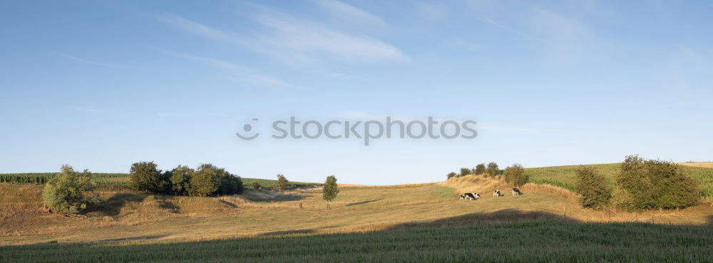 Similar – Image, Stock Photo classic calendar motif.