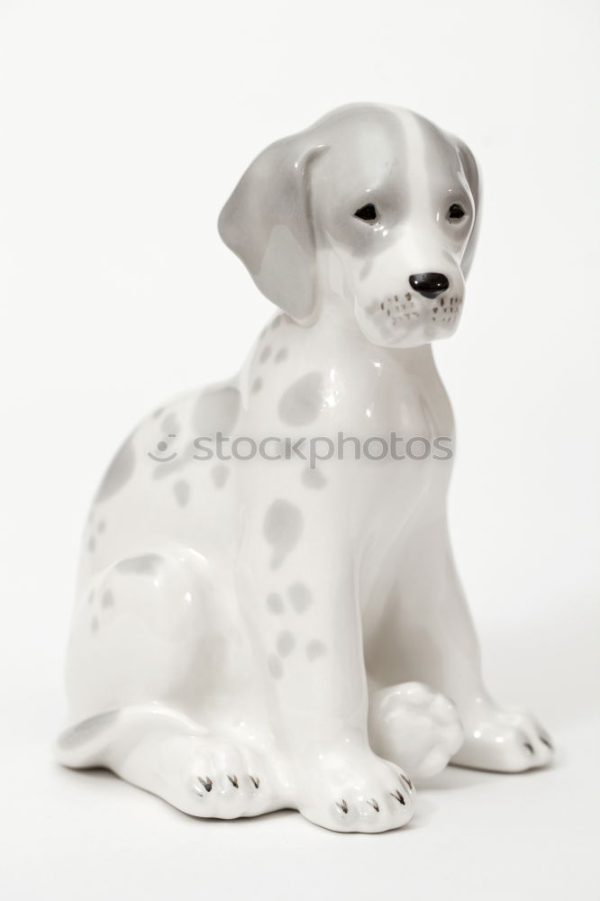 Image, Stock Photo Look up