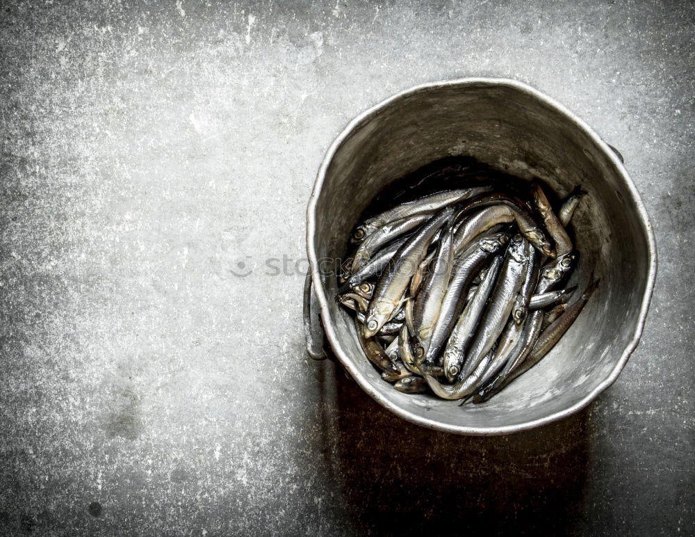 Similar – Image, Stock Photo sea bass fish on brown crumpled paper