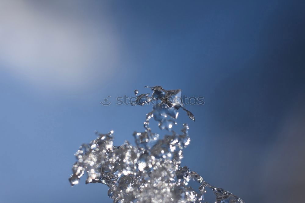 Foto Bild Eisnadeln kalt Winter