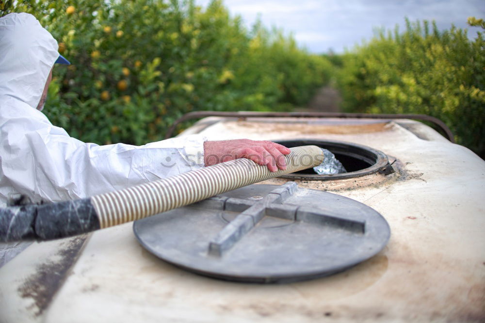 Similar – Image, Stock Photo Beekeeper working collect honey.