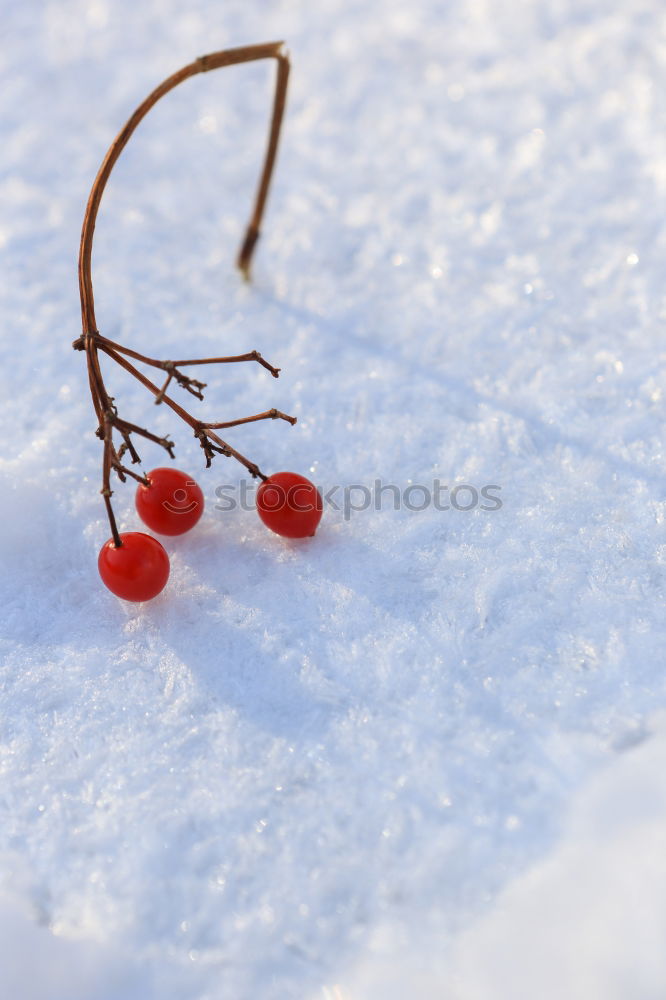 Similar – Image, Stock Photo December 25th, 2010 Chair