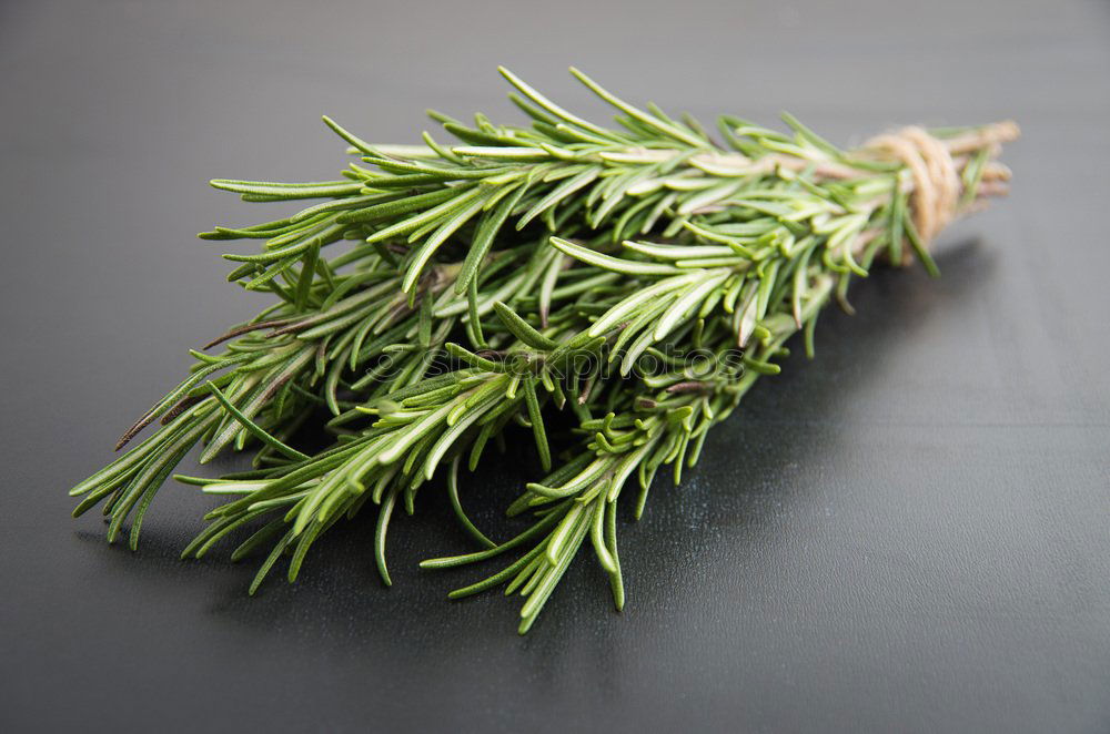 Similar – rosemary Food