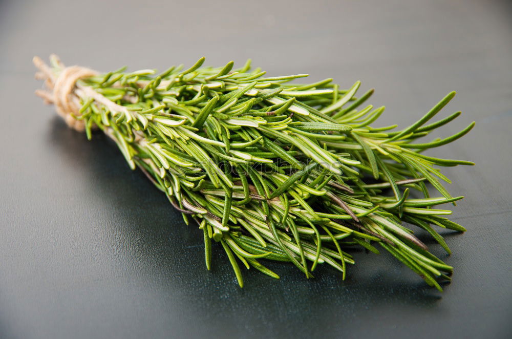 Similar – rosemary Food