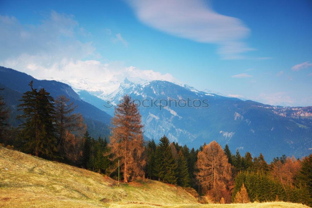 Similar – View of Seegrubeb Meadow