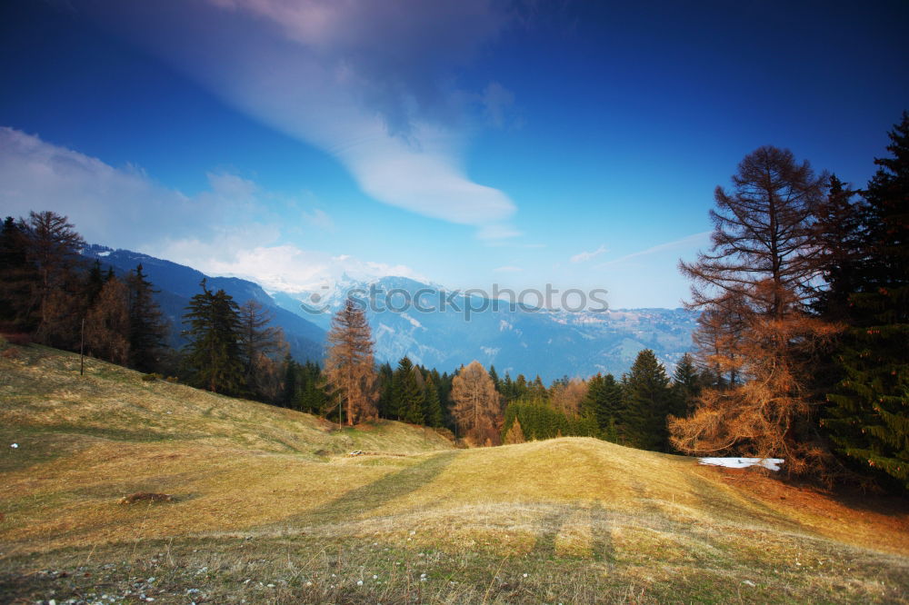 Similar – Seiser Alm harmonisch