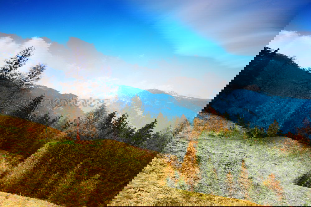 Similar – Image, Stock Photo Spring in the mountains