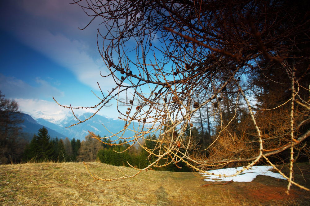 Similar – dry float Nature Landscape