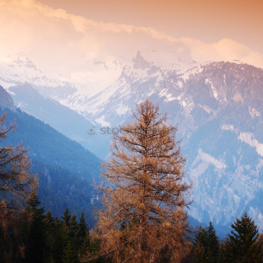 Similar – Image, Stock Photo Sunny autumn day on the lake in mountains of south Austria