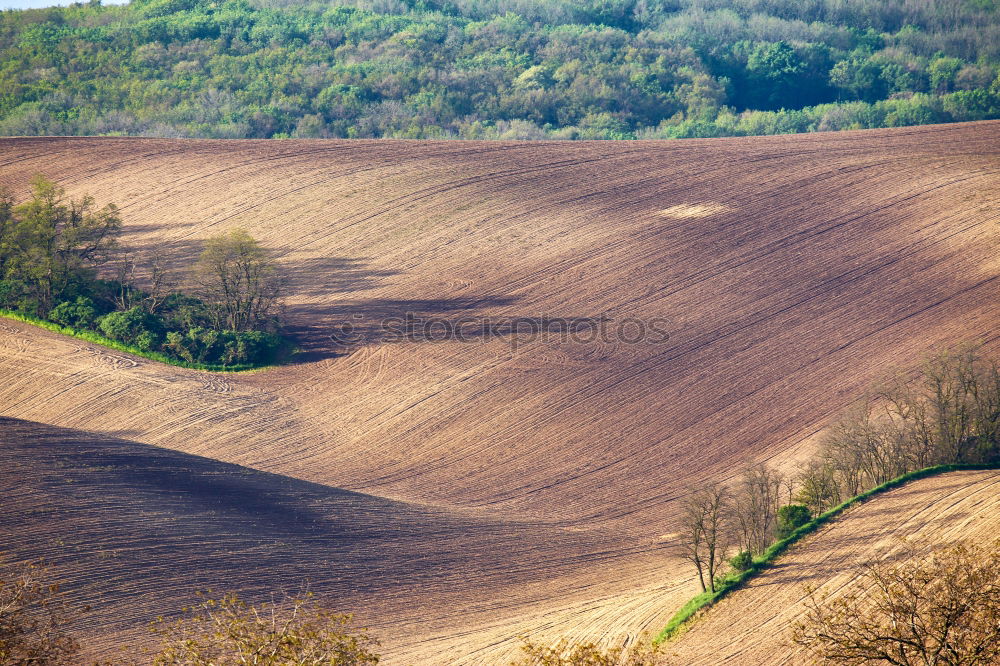 Image, Stock Photo from the field Landscape