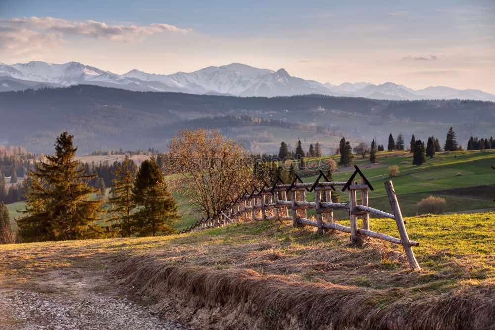 Spring countryside in Tatras mountains