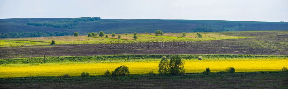 Similar – Image, Stock Photo summer landscape