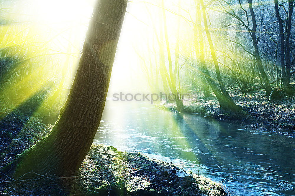 Similar – Image, Stock Photo Sunbeams in the forest on a brook