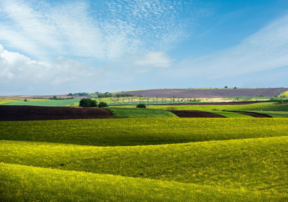 Similar – Austria spring green and yellow colza fields. Village on hills.