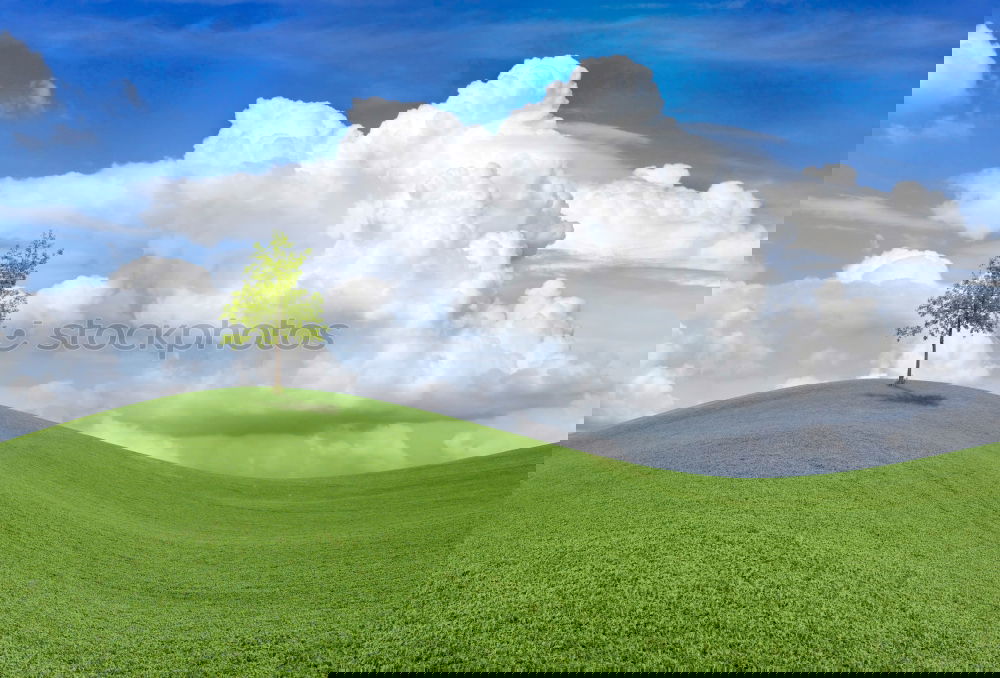 Similar – Image, Stock Photo London Calling: Nature In Town