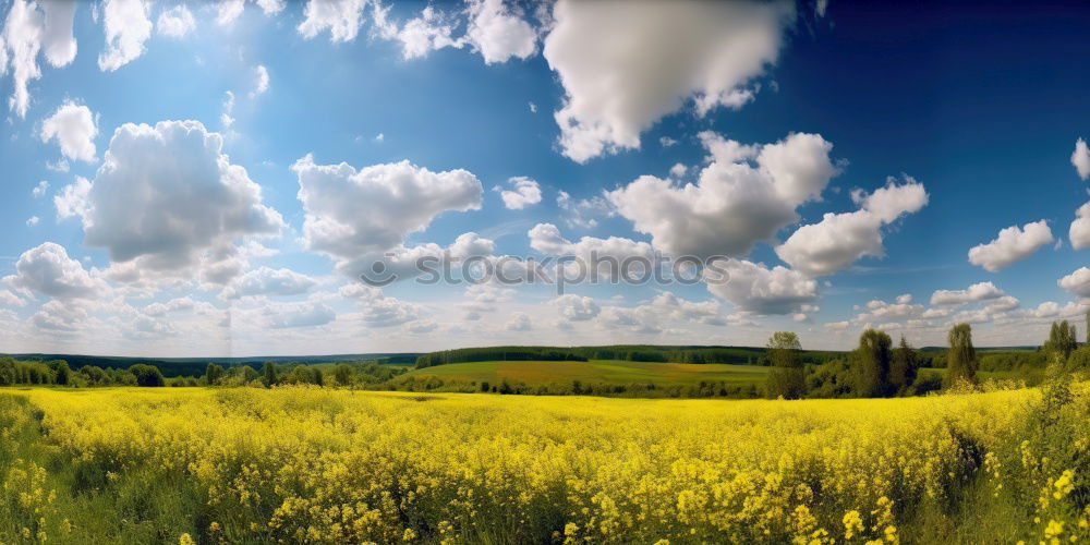 Similar – Sommerraps gelb blau weiß