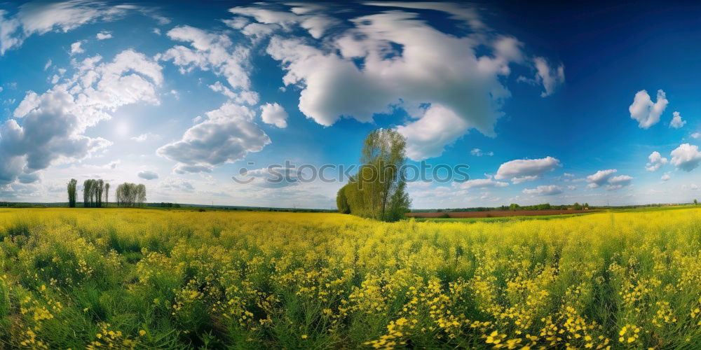 Similar – Image, Stock Photo Pointed cone heap of the former copper mining in the Mansfeld district behind a blooming rape field