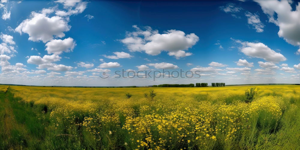 Similar – Weiß-blau-grün-gelb Umwelt