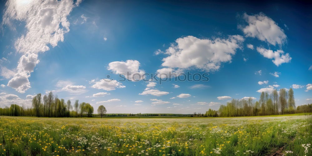 Similar – Ostern in der Stadt Umwelt