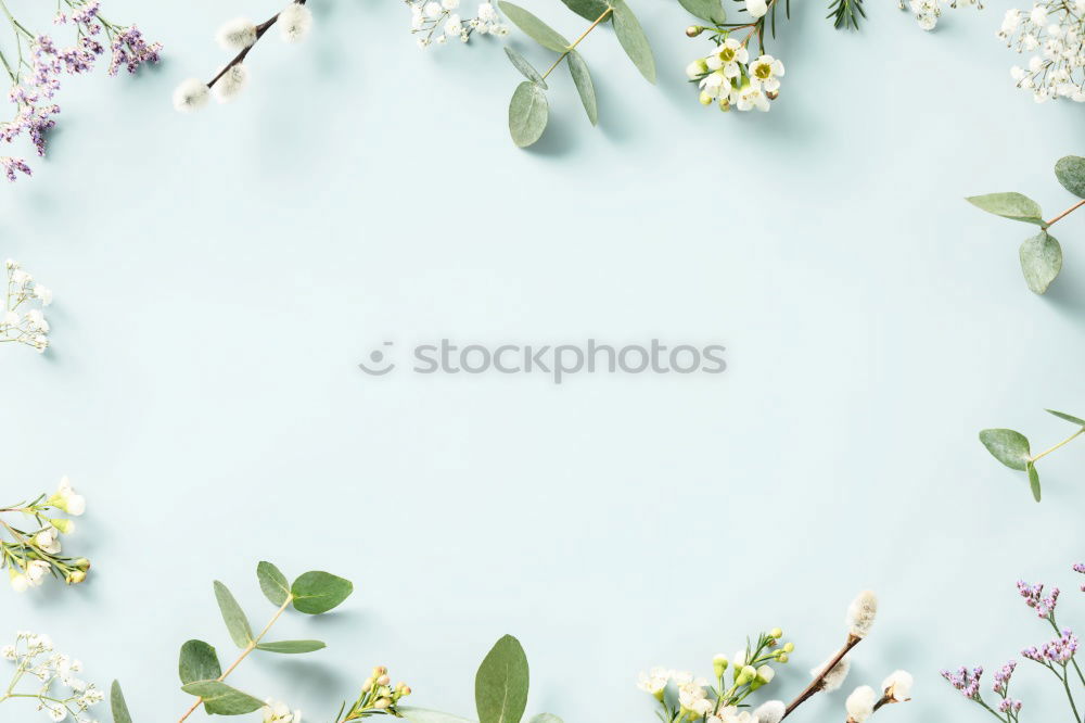 Similar – Background with cosmetics, leaves and cherry blossoms