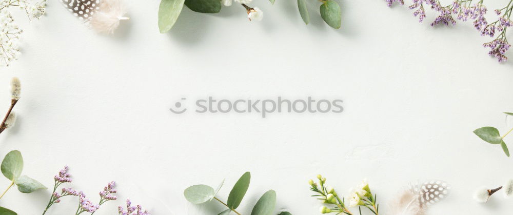 Image, Stock Photo Garden tools with summer flowers